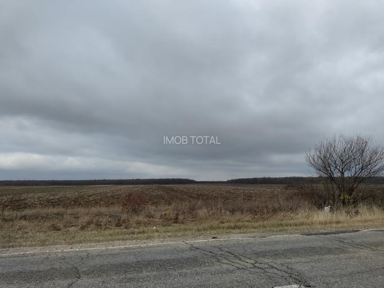 Teren 4.69ha (46900 mp), Petresti Dambovita la 4 km de A1 - 4