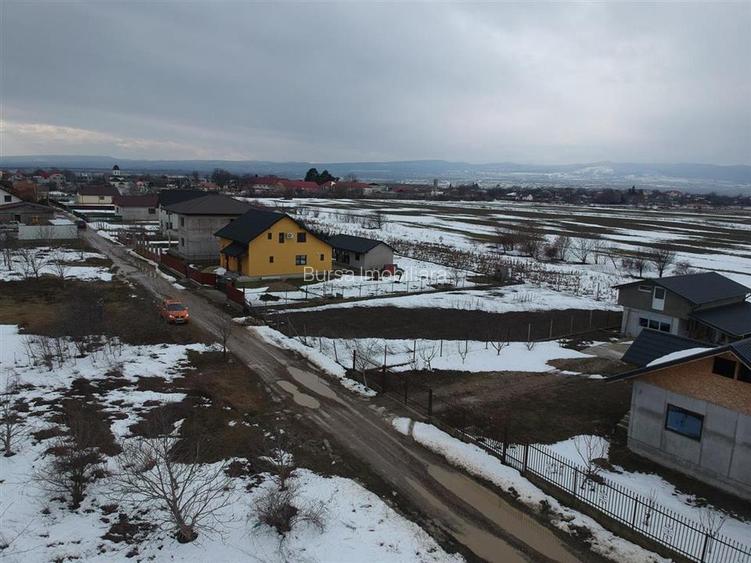 TEREN 650 CAMPINEANCA - 2