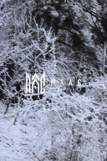 Teren cu izvor de apă minerală  Dangești, Punctul Valea Mare - 16