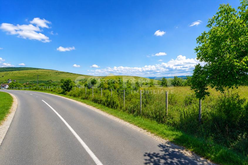Teren intravilan de vânzare | 2942 mp | Ciurila, Cluj - 2