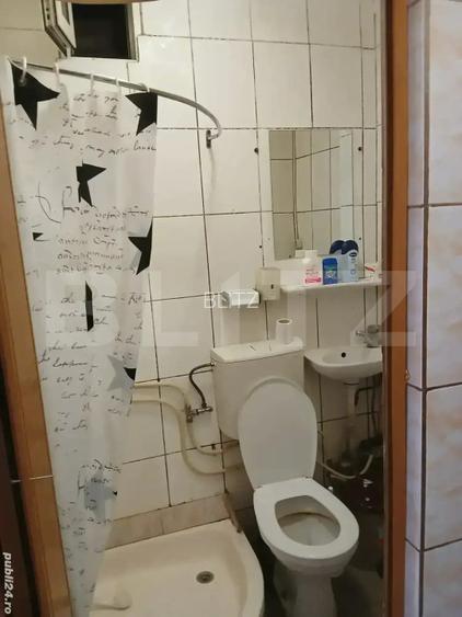 Camera de camin de vanzare, 20 mp, zona Valea Rosie - 3