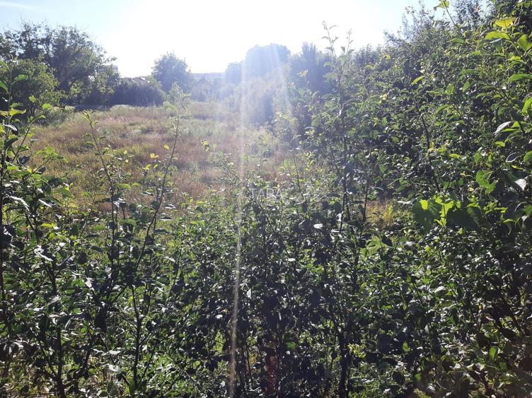 Exclusivitate! Casa în Zona Dâmbul Rotund, 3046mp teren. - 4