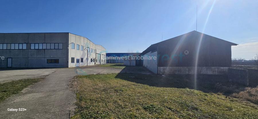 Hala Industriala de vanzare 6500 mp in Madaras la 30 km de Oradea, Bihor - 13