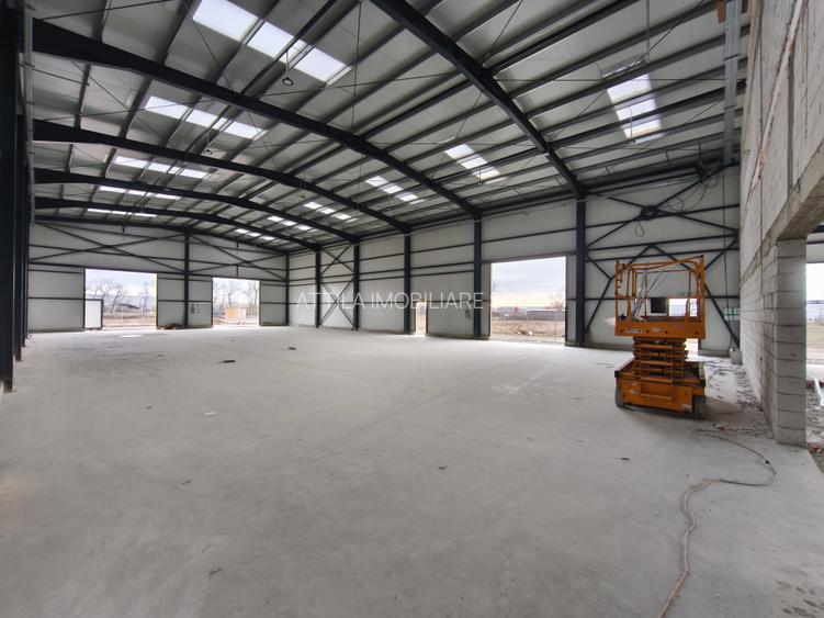 Hala cu Showroom Ghiroda 570 mp - 2