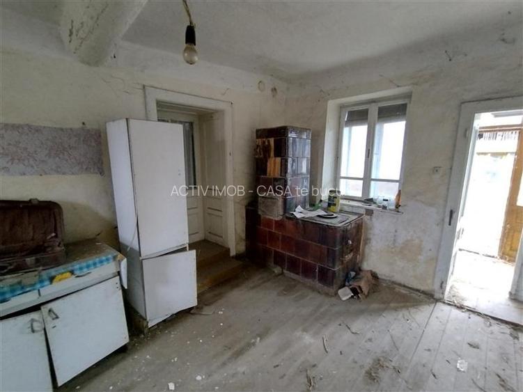 Iecea Mare - Timis, Casa cu Gradina, 1800mp Teren, Pret Negociabil - 18