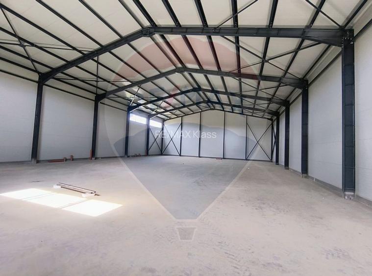 Spațiu industrial hala depozit zona Theodor Pallady - 5