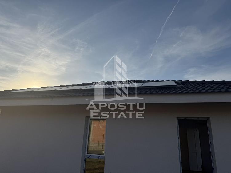 Casa individuala in Petrovaselo - 10