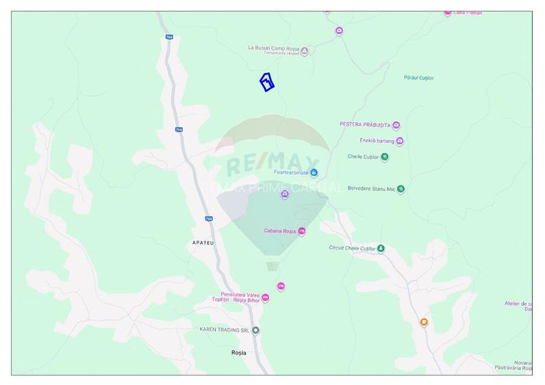 Oportunitate turistică în comuna Roșia 10.059 mp teren - 2
