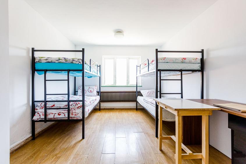 De vanzare proprietate pretabila cazare/locuire/pensiune rurala,  Carani, Timis - 25