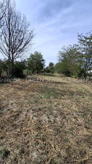 Stradal DN7, vila semifinisata, deschidere pe ambele capete - 9