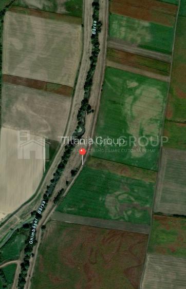Teren de 8700 mp - extravilan - Bod, Brasov - 7