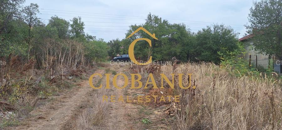 Teren Intravilan/Extravilan de vanzare in Bradestii Batrani - 8