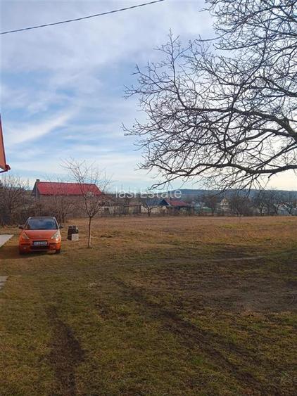 Teren 3500mp. Paun Bucium la asfalt cu toate utilitatile - 4