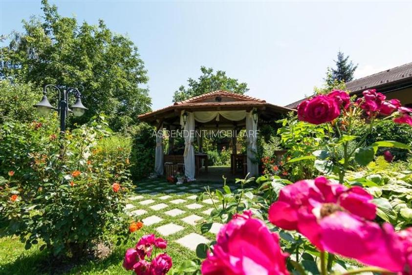 Hotel Bielmann,unicitate si profitabilitate optima in turism,Sanpetru, Brasov - 23