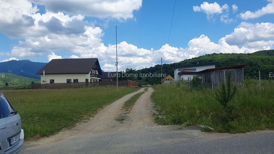 Rasnov -Glejarie 1000 mp front 42m posibilitate duplex sau 2 constructii - 7