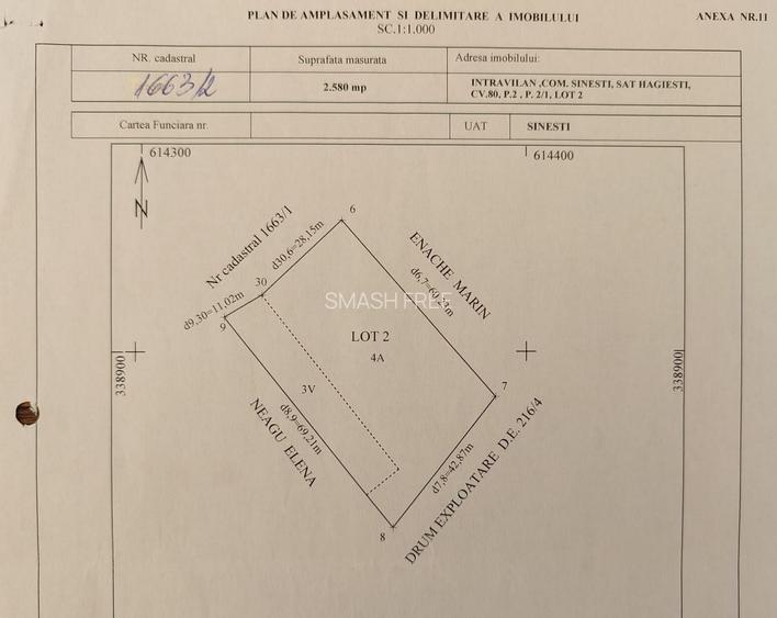 Teren intravilan 2580 mp - Hagiesti - 5