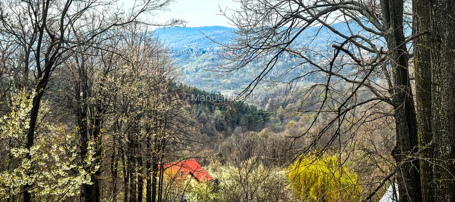 Proprietate Breaza de vis , zona de vis , prezentarea agentului , de vis - 10