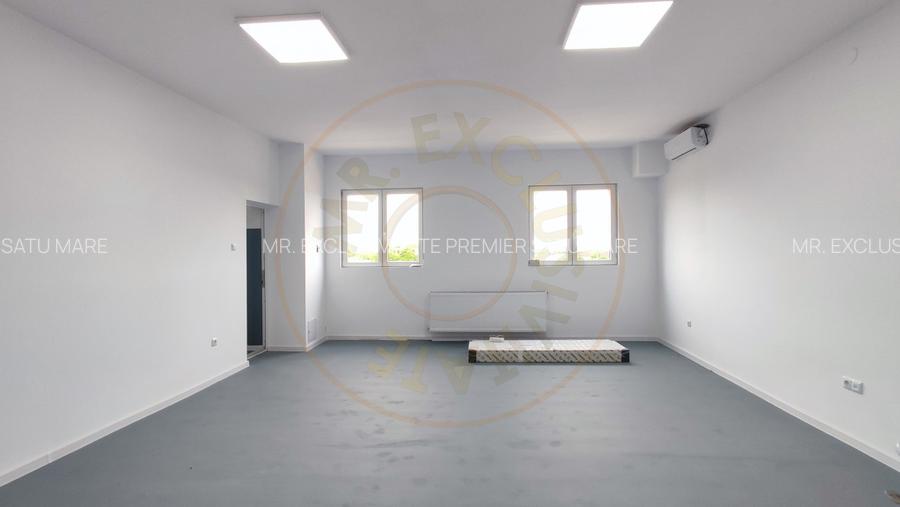 Inchiriere Spatii de Birouri/Productie - Str. Uzinei - Carei - Comision 0%  - 15