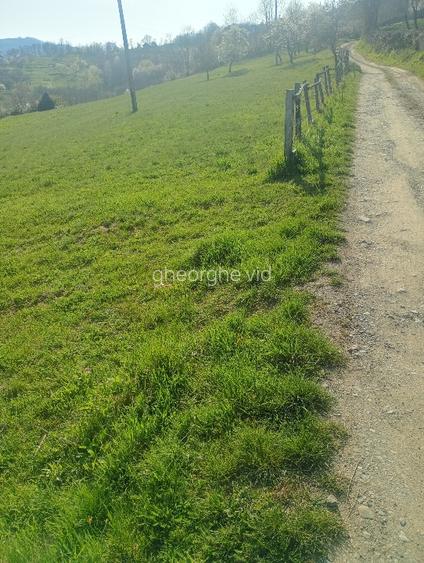 Vând terenuri,intravilane și extravilane !!! - 8