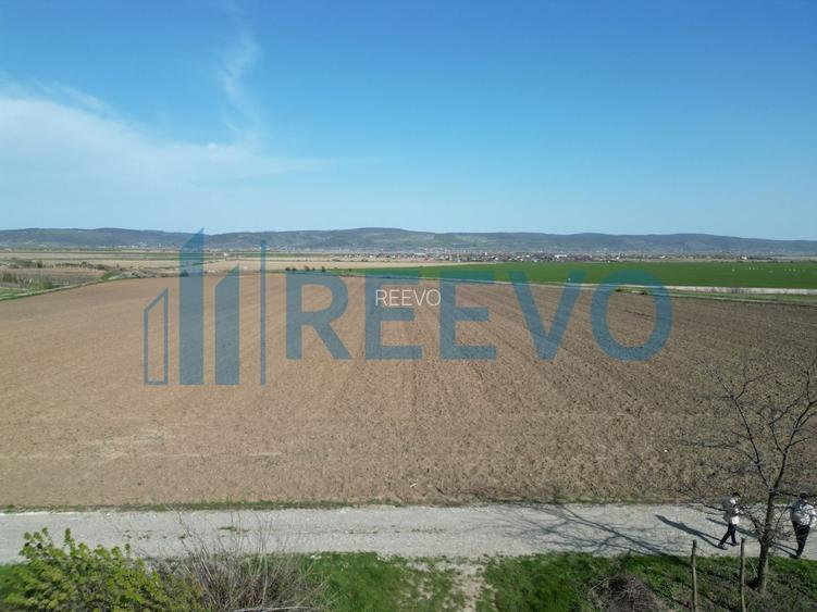 Teren de vânzare, Com. Nicolae Bălcescu, Jud. Bacău - 3