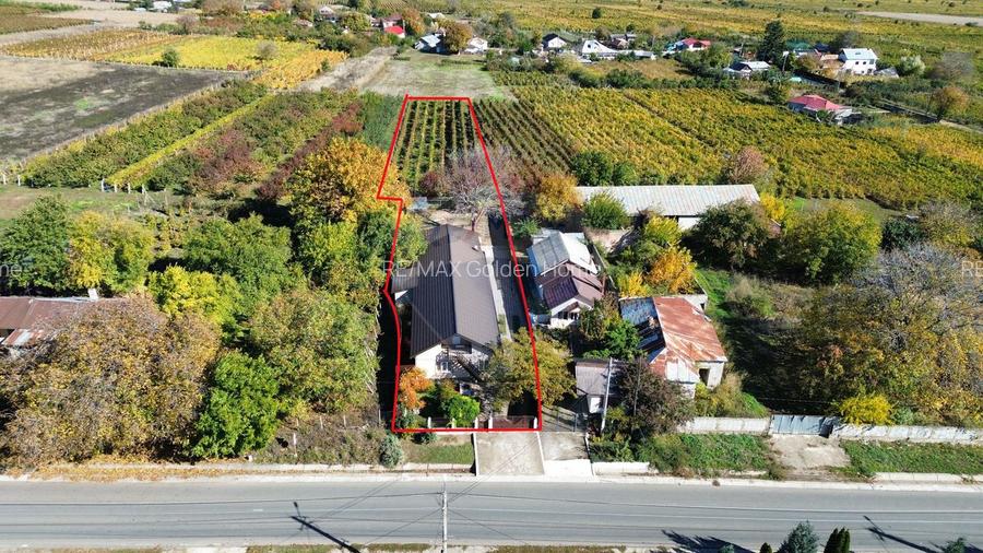 Casă Tifesti teren si vie - 35