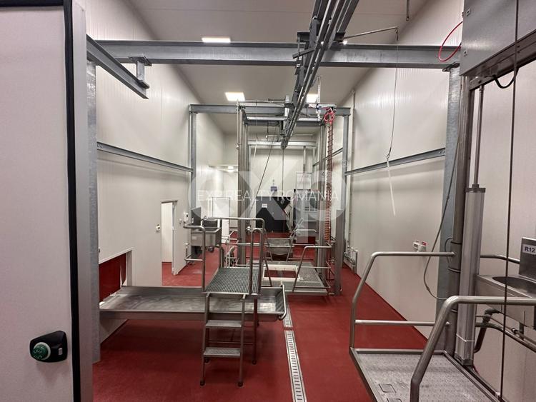 Ferma cu abator autorizat | Singureni Giurgiu - 16