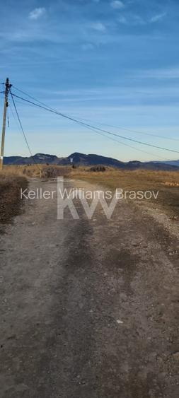 Teren de vanzare Sirnea- Comision 0% - 3