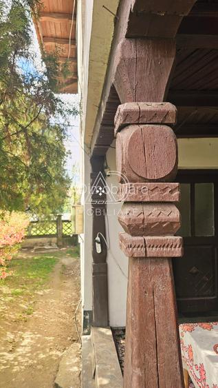 Casă P+1 de vânzare în Comuna Drăguțești, sat Iași-Gorj - 10