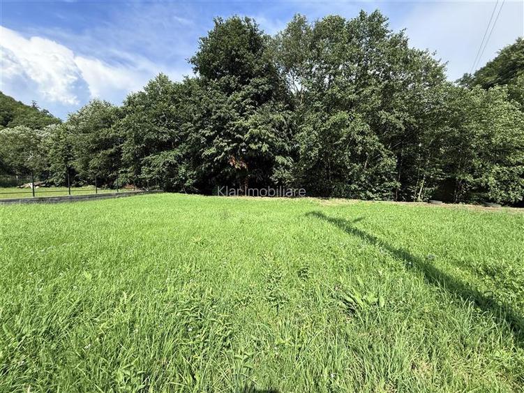 Comisan0%Teren intravilan Somesu Rece Lunca - 4