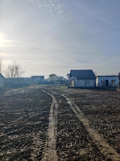 La 250 m de Kaufland Buftea si Crevedia Retail Park, la DN1A, 89 e/mp - 4