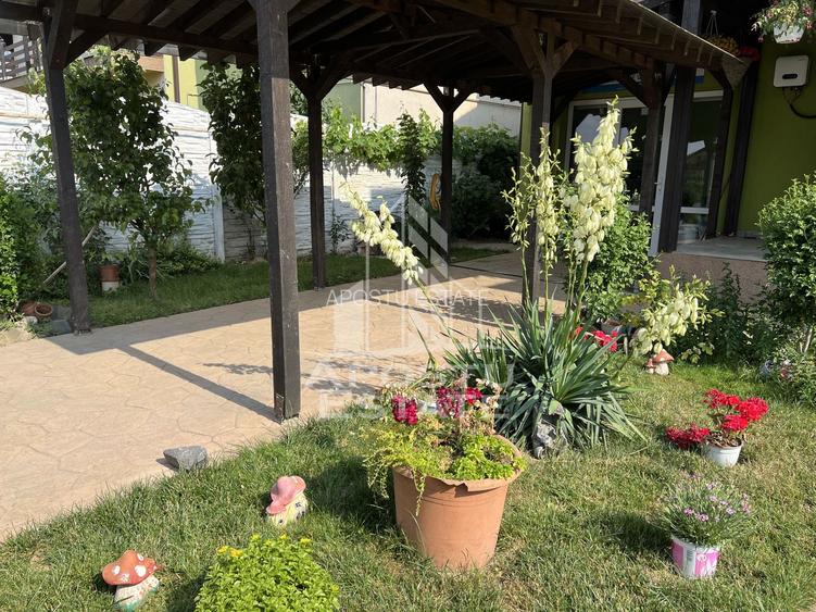 Casa individuala P+E+M, carport, piscina , in Sacalaz - 19