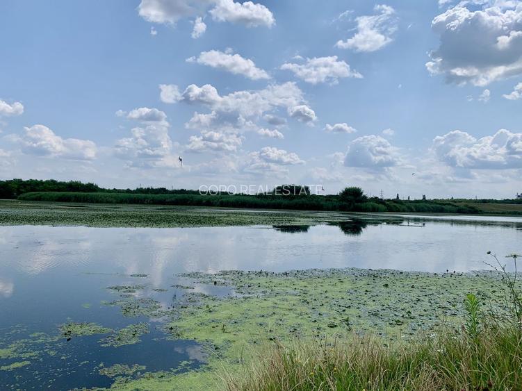 Teren Crevedia 62000 mp - 15