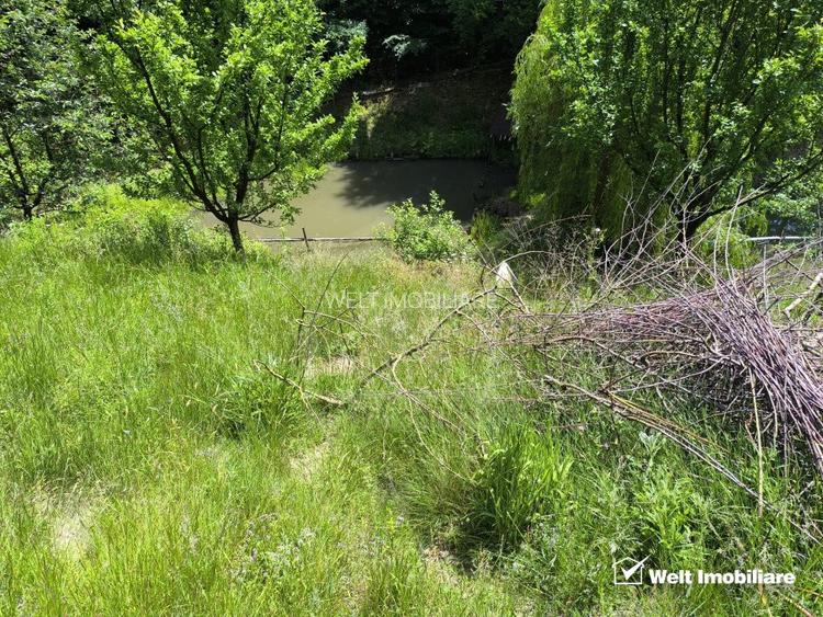 Casa de vacanta, cu lac, 5640 mp teren, Huta, com. Chiuiesti, jud. Cluj - 28