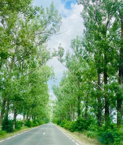 Teren rezidential langa lac Snagov in Silistea Snagovului iesire A3 - 7