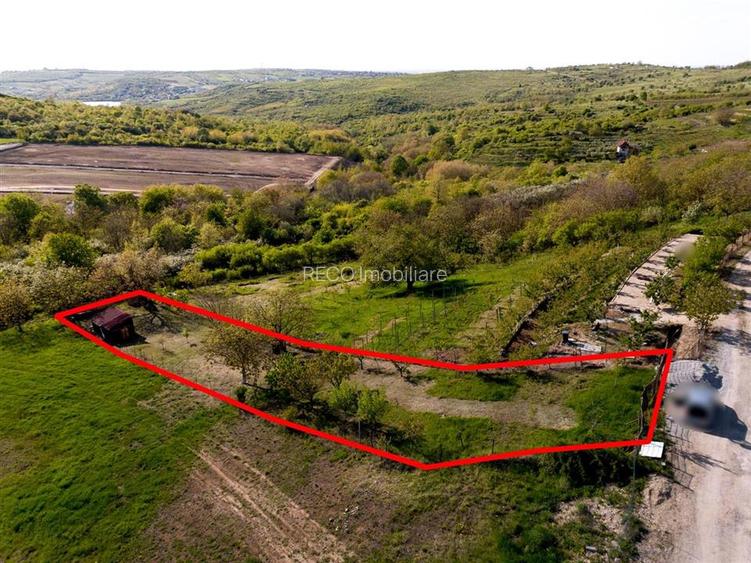 RECO Teren intravilan in Saldabagiu de munte zona Gheorghe Doja - 3