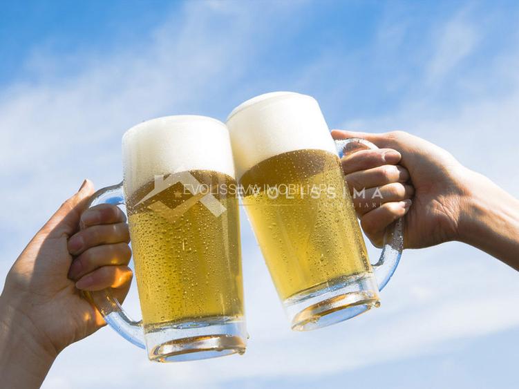Afacere Restaurant + Preluare contract de inchiriere - 8