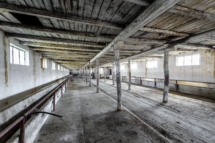 Fermă Mândruloc 2,5 ha - 2