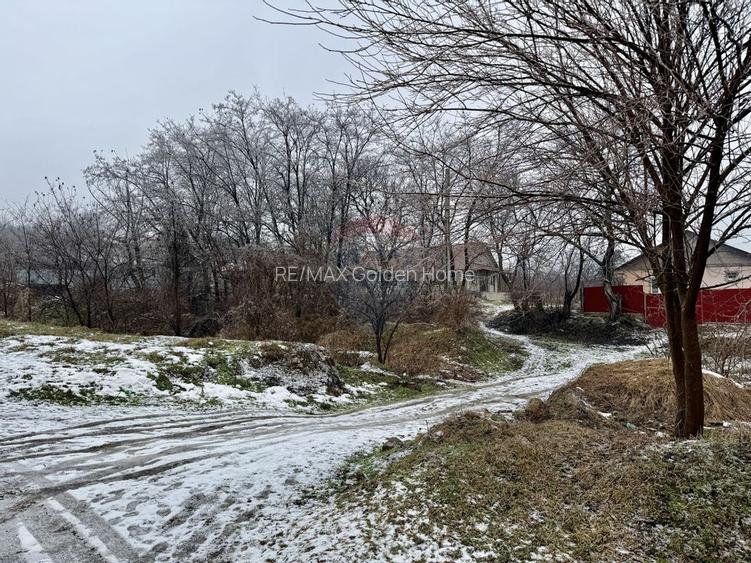 Casă Bolotesti / Vitanestii de Sub Magura - 3