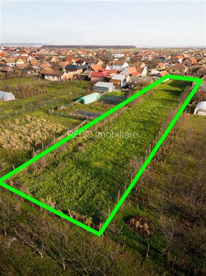 RECO Teren in nojorid - 8