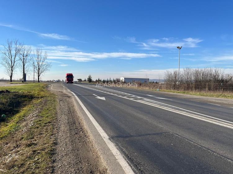 Teren intravilan, Săcădat, 27 921 mp. 9,5 Euro/mp. Comision 0. - 12