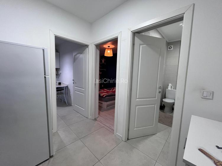 Apartament de inchiriat, o camera, decomandat, 30 mp, Lunca Cetatuii, (Astoria) - 9