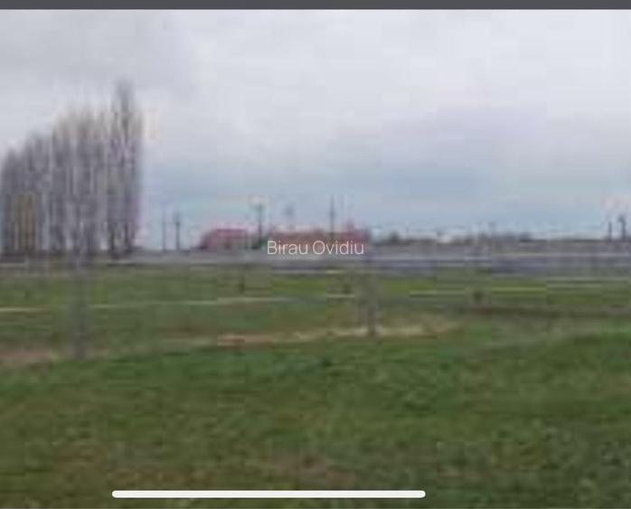 HUB Logistic intermodal 9,1 ha acces direct la DN 59/E70 JEBEL ,Timis - 13