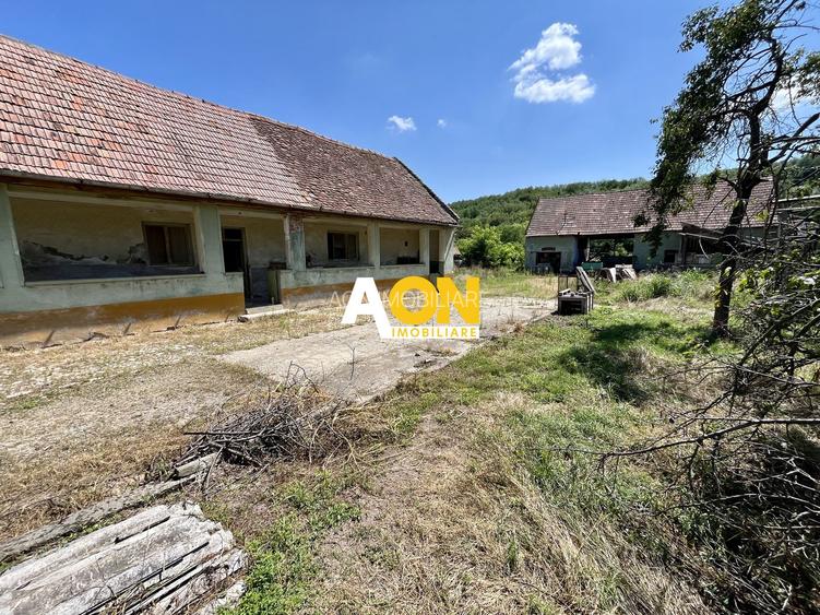 Teren Împrejmuit, 3514mp, Asfalt, Ciugud - 7