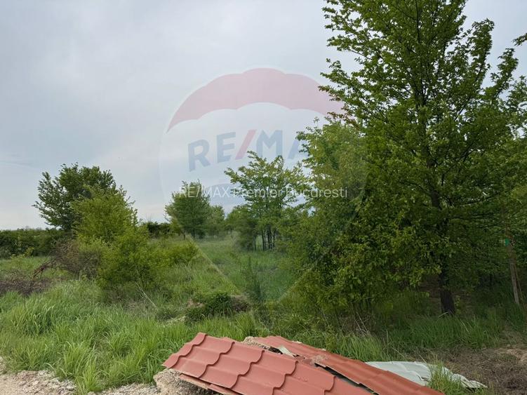 Teren Pentru Casa In Comuna Ciolpani - 0% Comision Cumparator - 4