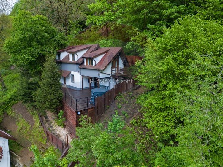 OPORTUNITATE INVESTITIE CU POTENTIAL TURISTIC, Centrul Istoric! - 38