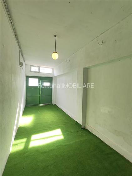 Casa singur in curte - Florilor - 16