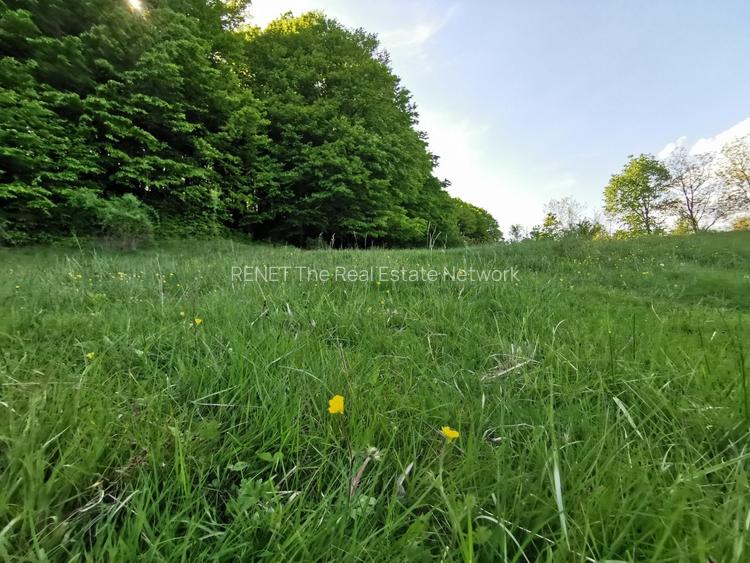 Oportunitate de Investiție - Teren de Basm in Bascov. DIRECT PROPRIETAR. - 9