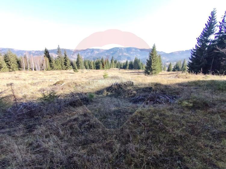 Teren 16,289mp Coverca / Drumul Bucinis - 8