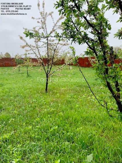 Casa la gri, comuna Girov - 21