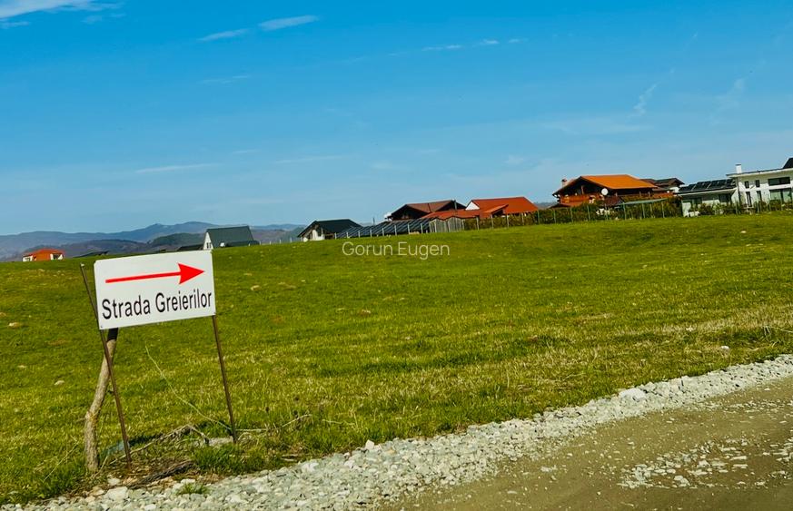 Teren intravilan Râșnov – Glejerie  5 parcele x 1000 mp  Capăt Str. Greierilor - 10